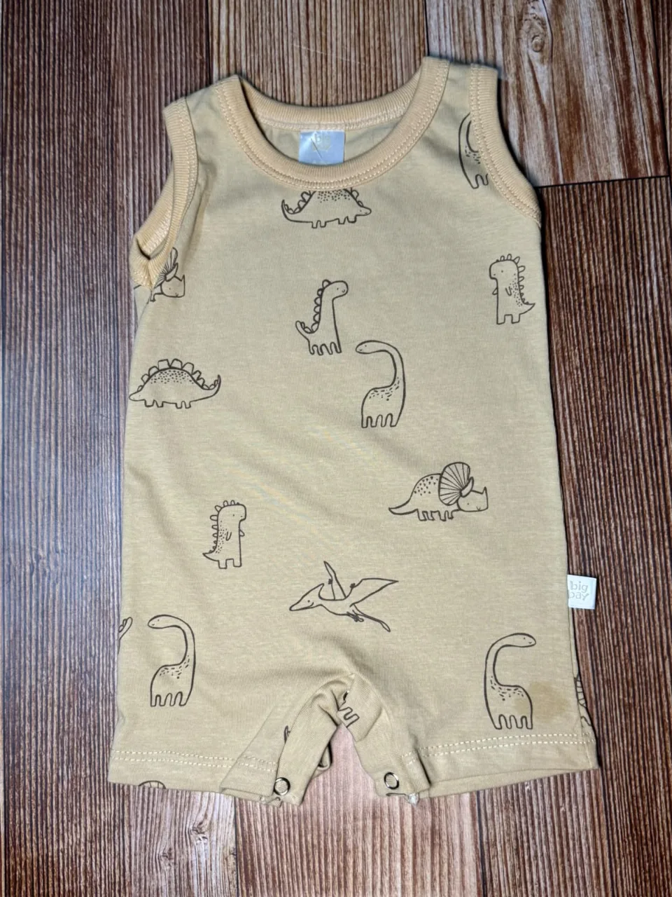 Enterito Dino — foto 1